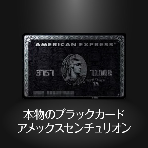 AMEX センチュリオン the RIDGE ザッリッジ クレジットカードケース+